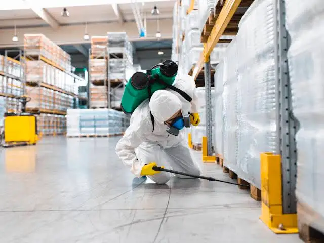 servicio para empresas